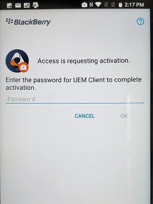 uem access